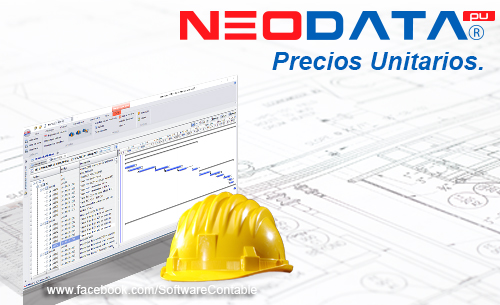 neodata-pantalla-2.jpg